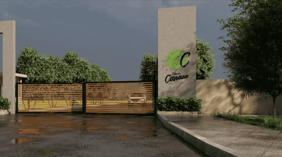 CLASSIC CANAAN