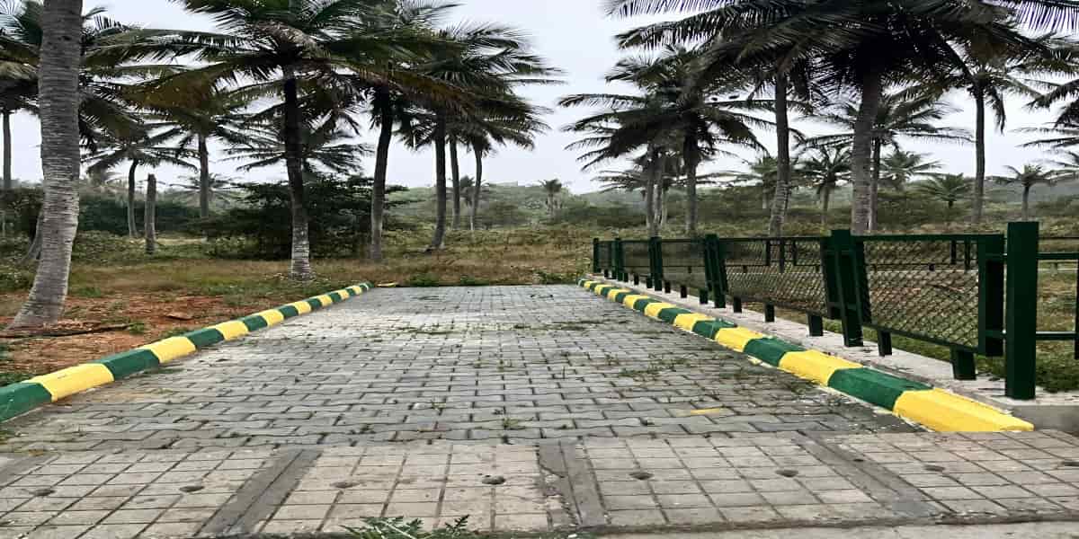 Vinyas 1903 Serinity